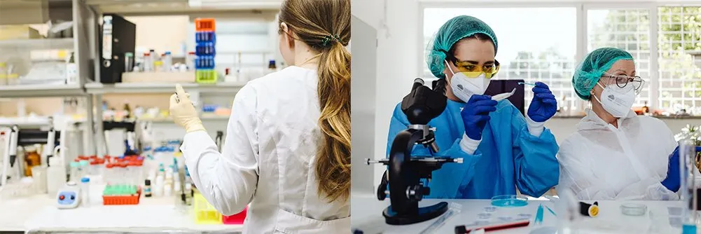 application for cover slip microscope application for cover slip microscope